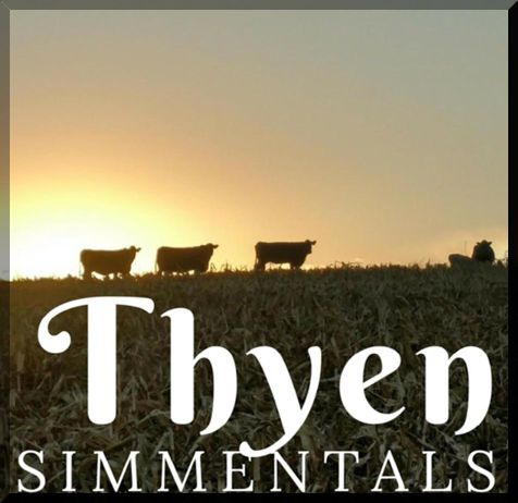 ThyenSimmentals.com